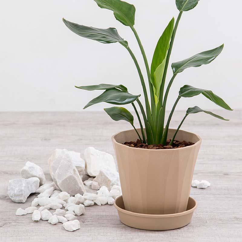 植木鉢 ラピス ポット 20型 リッチェル 36個 鉢 プランター 園芸 ガーデニング ガーデン用品 Richell カ園 個人宅配送不可 代引不可 |  | 04