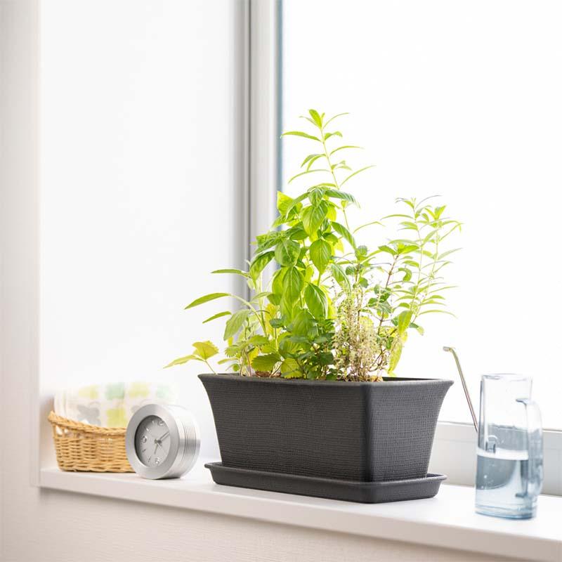 プランター ステッチ プランター 42型N リッチェル 20個 鉢 植木鉢 園芸 栽培 ガーデン用品 ガーデニング Richell カ園 個人宅配送不可 代引不可 |  | 03