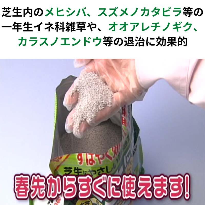 除草剤 シバニードアップ粒剤 700g 20本 住友化学園芸 芝生用 日本芝 除草 雑草 粒剤 カ園 個人宅配送不可 代引不可 |  | 01