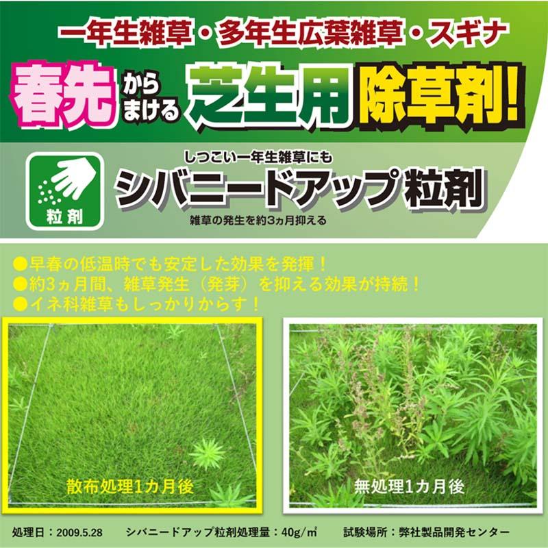 除草剤 シバニードアップ粒剤 700g 20本 住友化学園芸 芝生用 日本芝 除草 雑草 粒剤 カ園 個人宅配送不可 代引不可 |  | 02