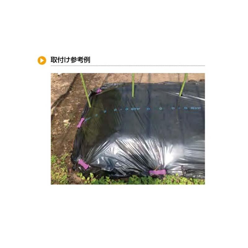 押えピン パープルトンボ CP-653 500本 タキゲン マルチシート押さえ 栽培 育苗 農業 園芸 作物 畑 ガーデニング サT 代引不可 |  | 02