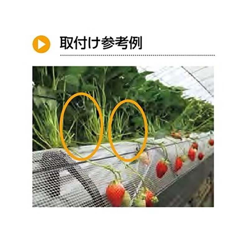 イチゴ玉出し棒 280mm C-1652-1 1000本 タキゲン 栽培 いちご 育苗 農業 園芸 作物 畑 ガーデニング サT 代引不可 |  | 02