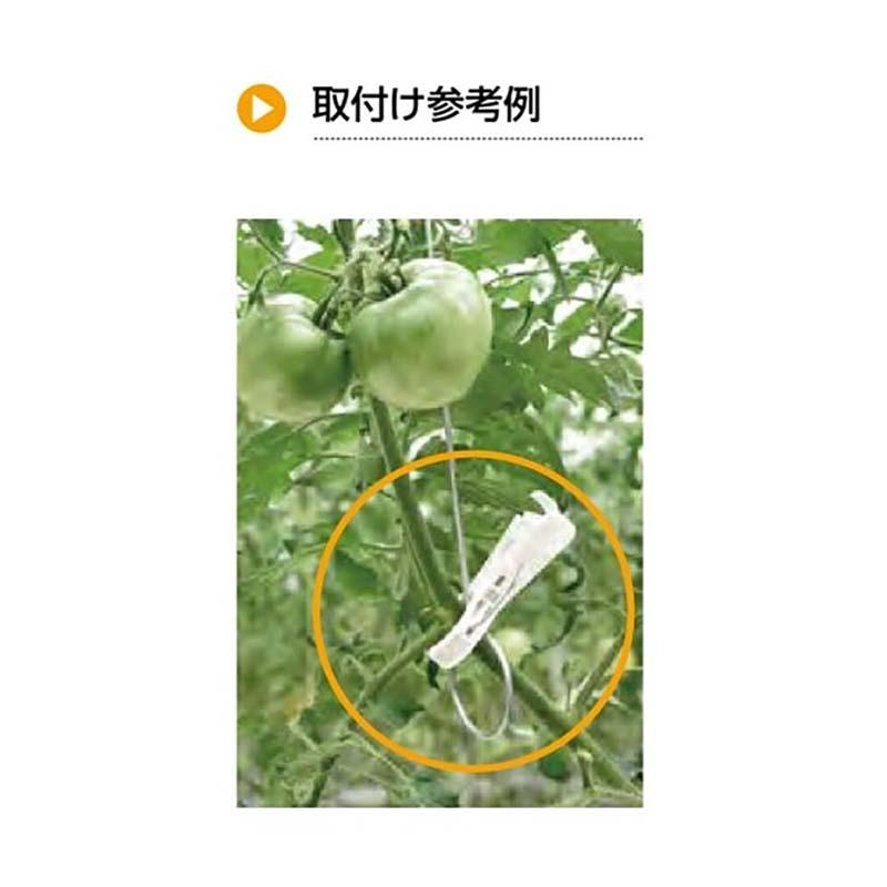 針金 誘引用針金 1300mm C-681-P-1300 200本 タキゲン 誘引 農業 栽培 園芸 作物 畑 ガーデニング サT 代引不可 |  | 01