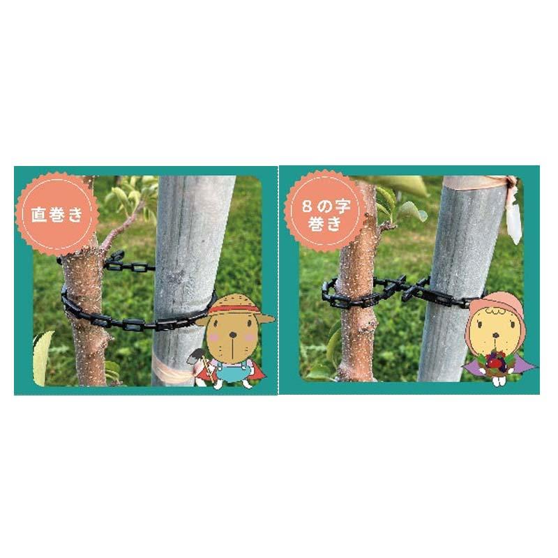 結束誘引用チェーン 楽らくタイトチェーン 40cm 100本入 4セット TC40-100 結束 誘引 チェーン 農業 園芸 果樹 YKCJapan シB 代引不可 |  | 02