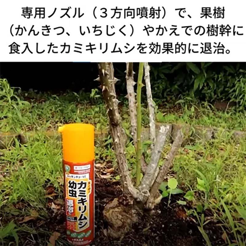 殺虫剤 園芸用 キンチョールE 420ml 30本 KINCHO園芸 殺虫剤 スプレー 害虫対策 園芸 ガーデニング カ園 個人宅配送不可 代引不可 |  | 02