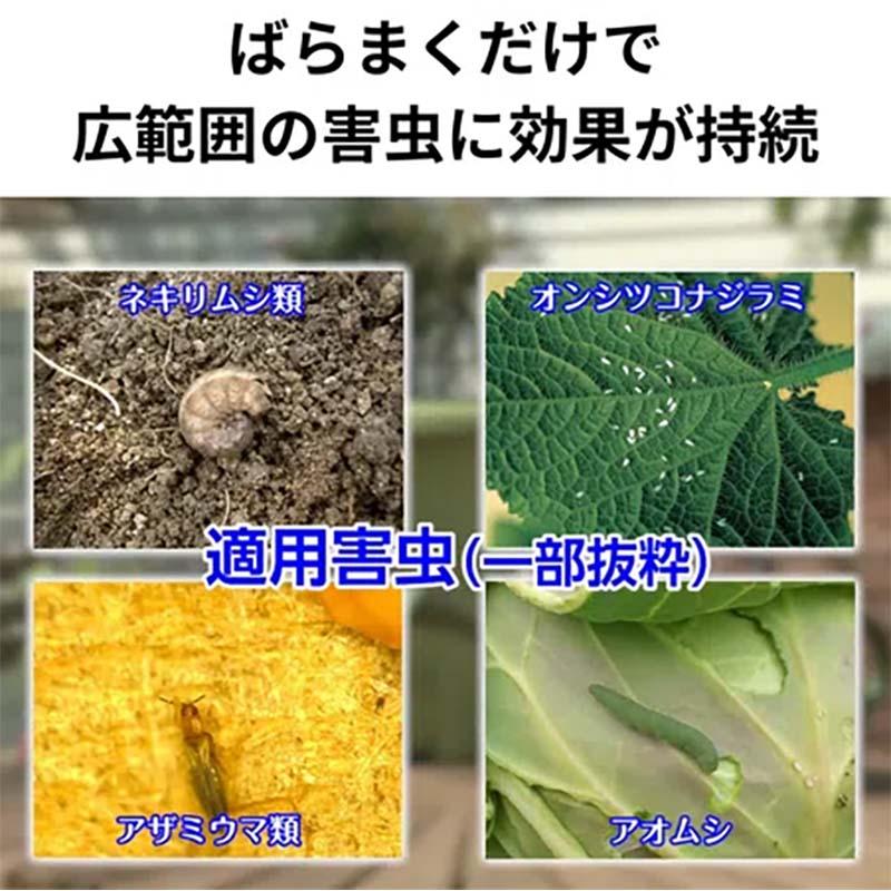 殺虫剤 家庭園芸用 GFオルトラン粒剤 1kg 12袋 KINCHO園芸 殺虫 粒剤 害虫対策 園芸 ガーデニング カ園 個人宅配送不可 代引不可_2