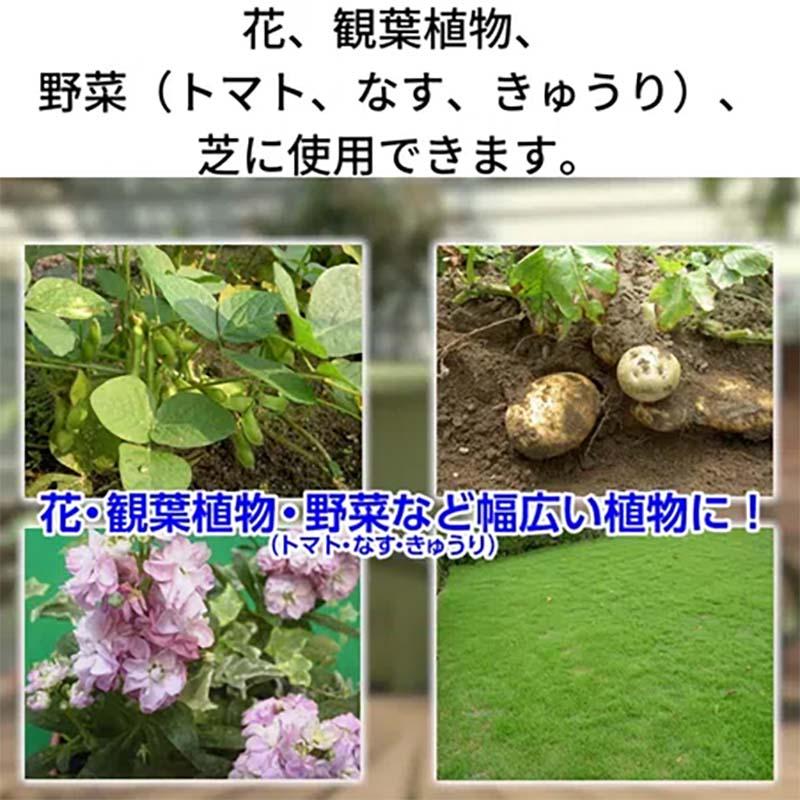 殺虫剤 家庭園芸用 GFオルトラン粒剤 1kg 12袋 KINCHO園芸 殺虫 粒剤 害虫対策 園芸 ガーデニング カ園 個人宅配送不可 代引不可_3