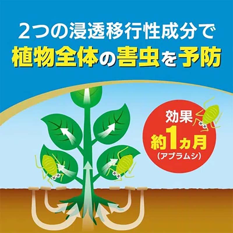 殺虫剤 オルトランDX粒剤 200g 60本 農薬 KINCHO園芸 殺虫 粒剤 害虫対策 防除 園芸 ガーデニング カ園 個人宅配送不可 代引不可 |  | 01