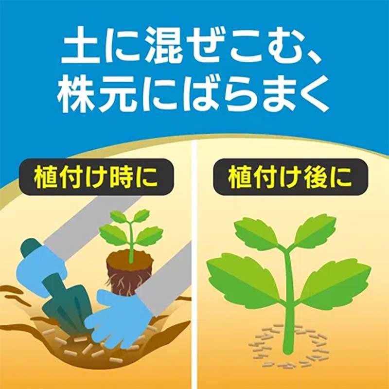 殺虫剤 オルトランDX粒剤 200g 60本 農薬 KINCHO園芸 殺虫 粒剤 害虫対策 防除 園芸 ガーデニング カ園 個人宅配送不可 代引不可 |  | 02