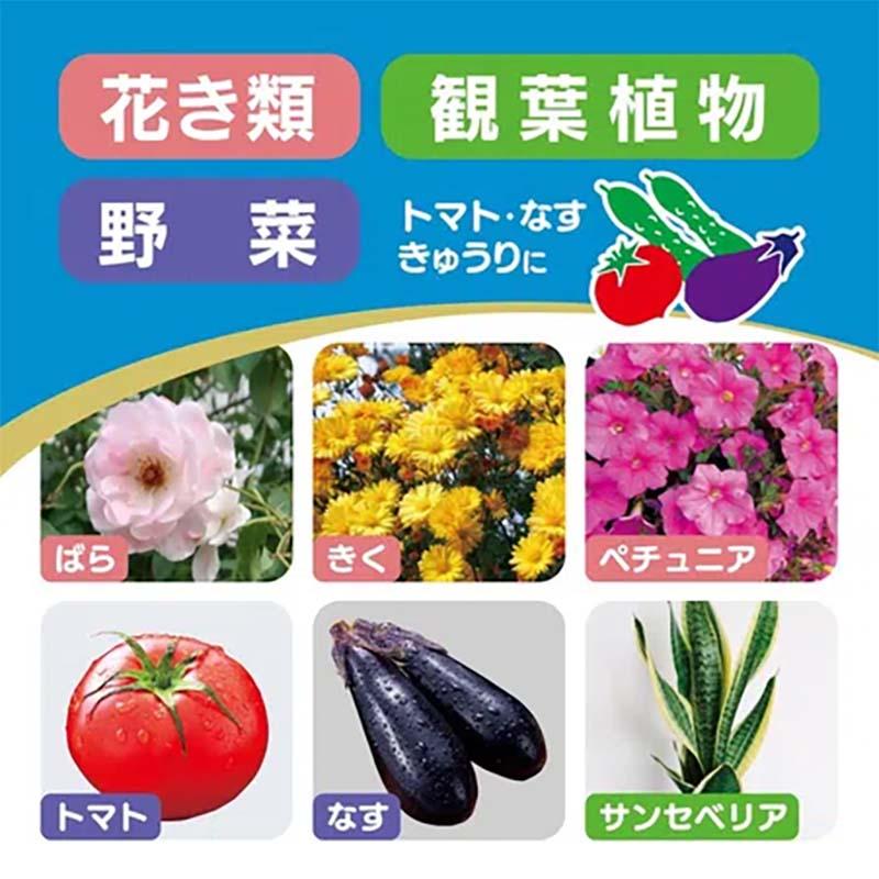 殺虫剤 オルトランDX粒剤 200g 60本 農薬 KINCHO園芸 殺虫 粒剤 害虫対策 防除 園芸 ガーデニング カ園 個人宅配送不可 代引不可 |  | 03