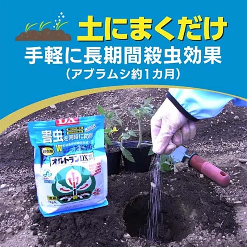 殺虫剤 オルトランDX粒剤 200g 60本 農薬 KINCHO園芸 殺虫 粒剤 害虫対策 防除 園芸 ガーデニング カ園 個人宅配送不可 代引不可 |  | 04