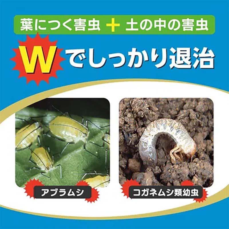 殺虫剤 オルトランDX粒剤 200g 60本 農薬 KINCHO園芸 殺虫 粒剤 害虫対策 防除 園芸 ガーデニング カ園 個人宅配送不可 代引不可 |  | 05