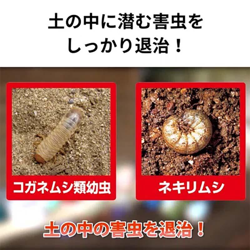 殺虫剤 家庭園芸用 サンケイダイアジノン粒剤3 700g 20個 KINCHO園芸 殺虫 粒剤 害虫対策 防除 園芸 ガーデニング カ園 個人宅配送不可 代引不可_1