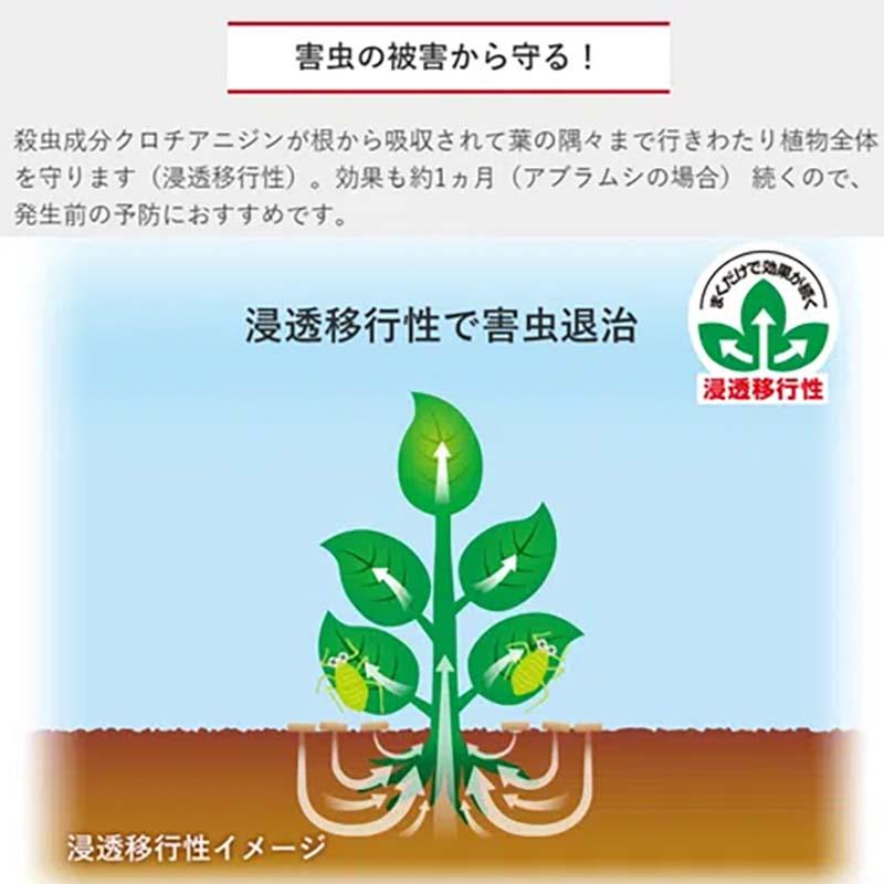 殺虫殺菌剤 ベニカXガード粒剤 550g 16個 KINCHO園芸 殺虫 殺菌 粒剤 害虫対策 防除 園芸 ガーデニング カ園 個人宅配送不可 代引不可_1