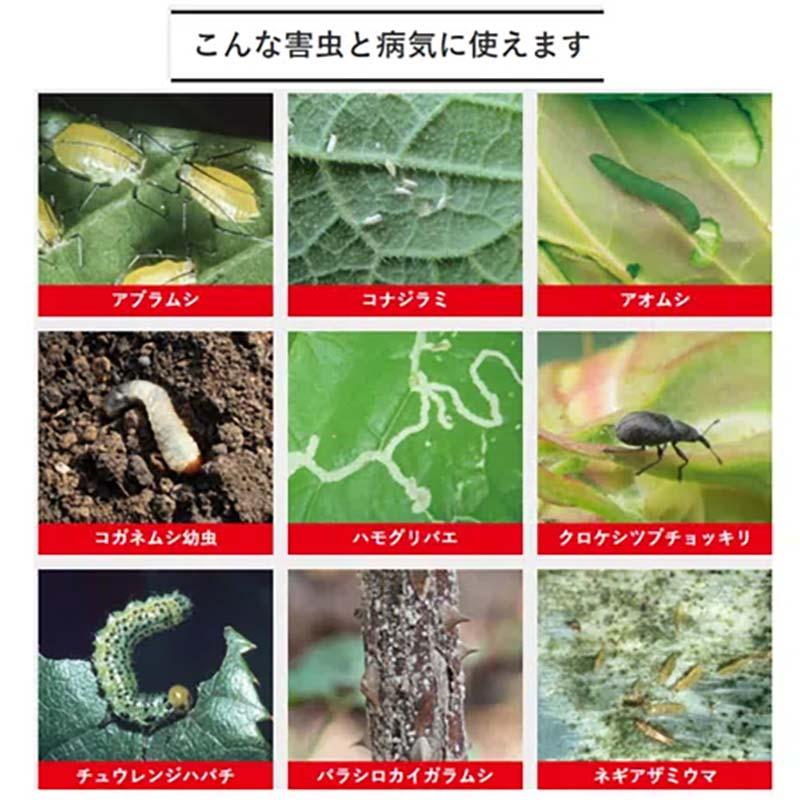 殺虫殺菌剤 ベニカXガード粒剤 550g 16個 KINCHO園芸 殺虫 殺菌 粒剤 害虫対策 防除 園芸 ガーデニング カ園 個人宅配送不可 代引不可_2