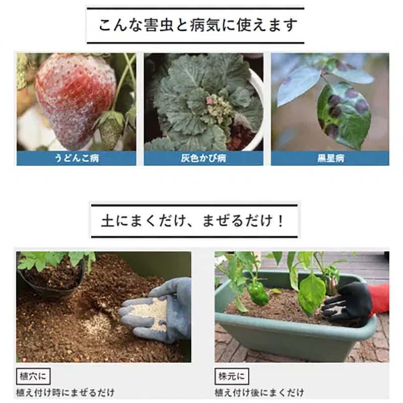殺虫殺菌剤 ベニカXガード粒剤 550g 16個 KINCHO園芸 殺虫 殺菌 粒剤 害虫対策 防除 園芸 ガーデニング カ園 個人宅配送不可 代引不可_3