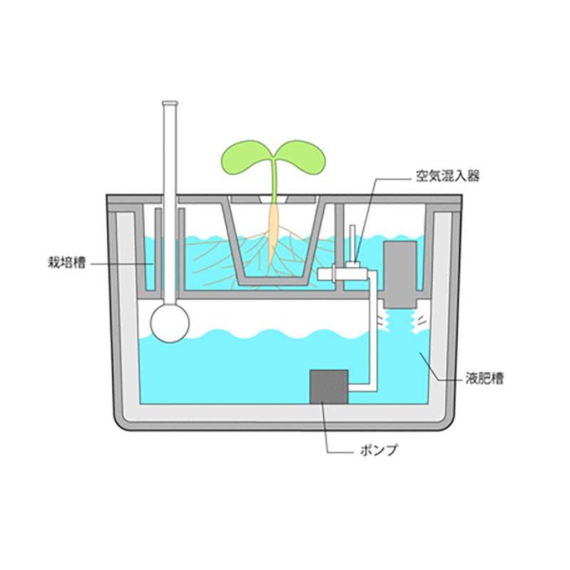 マス型水耕栽培キット ホームハイポニカ MASUCO マスコ 協和ハイポニカ 水耕栽培 マス型 育苗 栽培 カ園 個人宅配送不可 代引不可 |  | 04