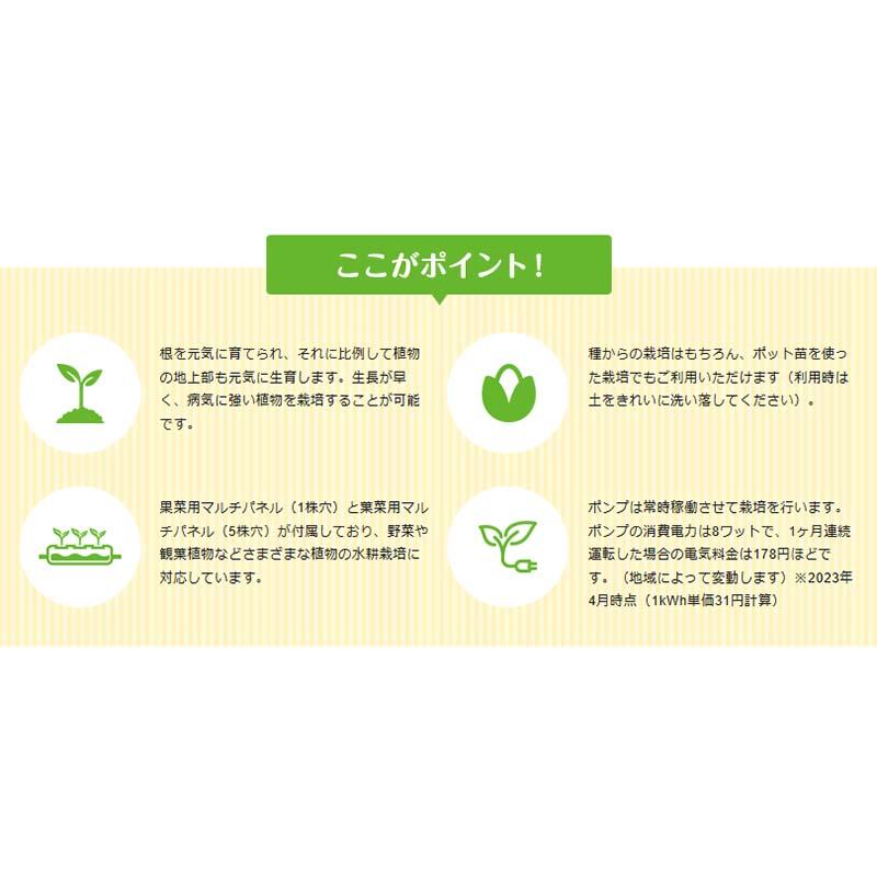 マス型水耕栽培キット ホームハイポニカ MASUCO マスコ 協和ハイポニカ 水耕栽培 マス型 育苗 栽培 カ園 個人宅配送不可 代引不可 |  | 05