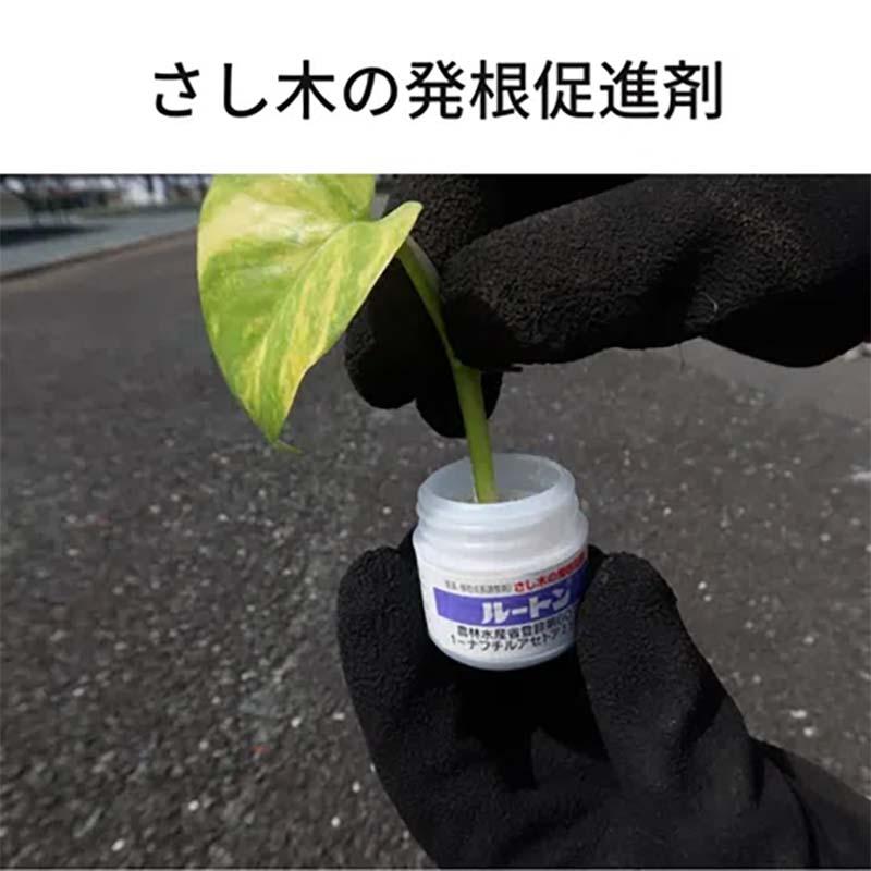 植物成長調整剤 ルートン 15g 60本 KINCHO園芸 発根促進剤 農業 園芸 ガーデニング カ園 個人宅配送不可 代引不可 |  | 02