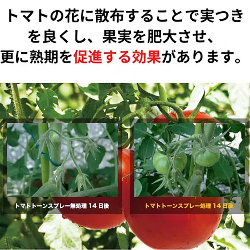 植物成長調整剤 日産トマトトーンスプレー 420ml 30本 KINCHO園芸 着果促進 農業 園芸 ガーデニング カ園 個人宅配送不可 代引不可 |  | 03