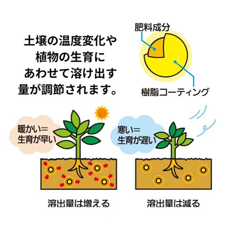 肥料 マイローズ ばらの肥料 1.2kg 12個 KINCHO園芸 ばら 元肥 追肥 農業 園芸 ガーデニング カ園 個人宅配送不可 代引不可 |  | 03