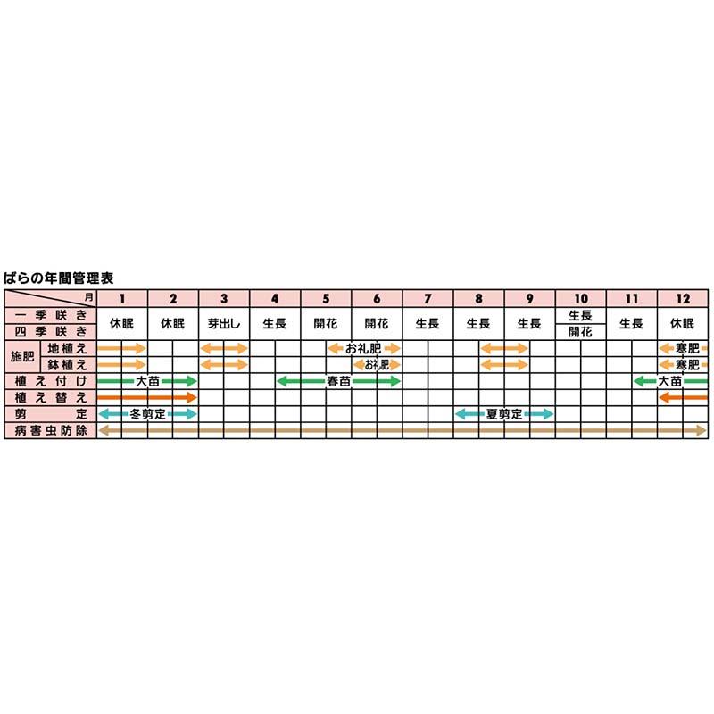 肥料 マイローズ ばらの天然有機肥料 1kg 12個 KINCHO園芸 元肥 追肥 有機肥料 農業 園芸 ガーデニング カ園 個人宅配送不可 代引不可 |  | 06