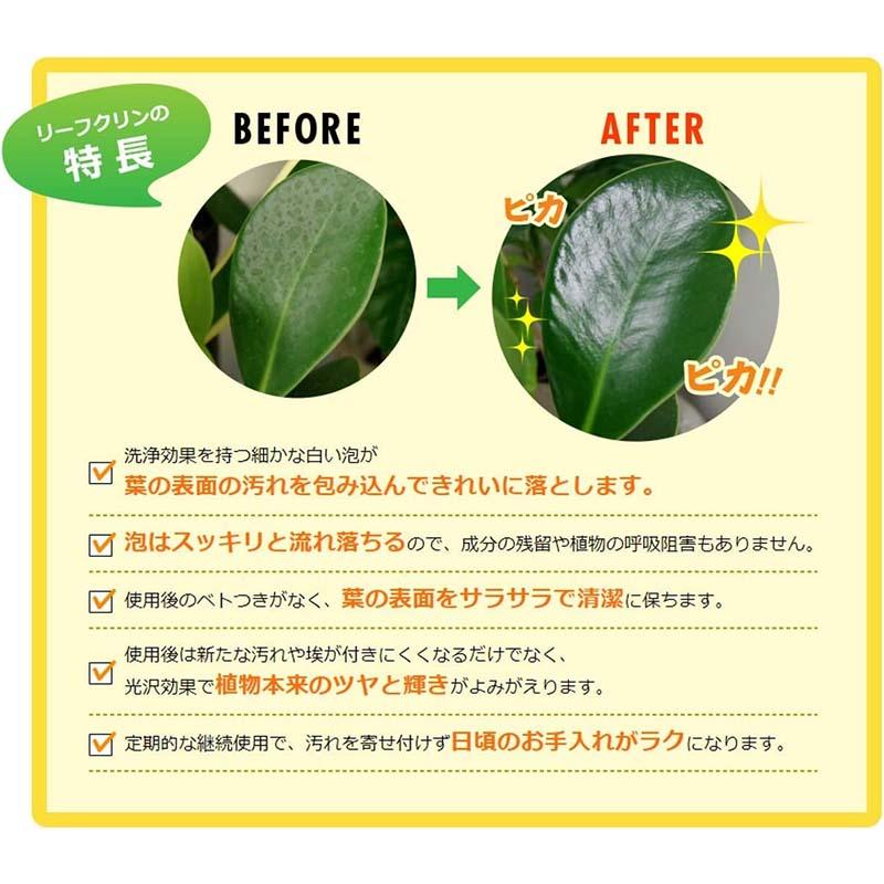 葉面洗浄剤 リーフクリン 業務用 480ml 24本 KINCHO園芸 葉面光沢剤 農業 園芸 ガーデニング カ園 代引不可 |  | 02