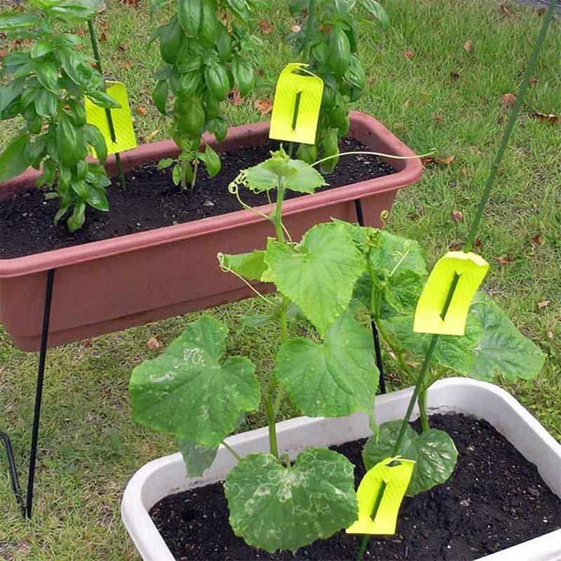 捕虫 粘着シート ムシナックスDX 8枚入 60パック 黄色 KINCHO園芸 害虫対策 農業 園芸 ガーデニング カ園 代引不可 |  | 03