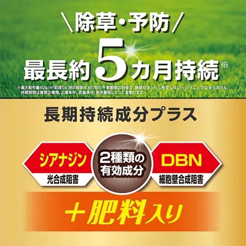 除草剤 マイターフ シバニードグリーン粒剤 1.4kg 12個 農薬 KINCHO園芸 除草 芝生 予防 農業 園芸 ガーデニング カ園 個人宅配送不可 代引不可 |  | 01