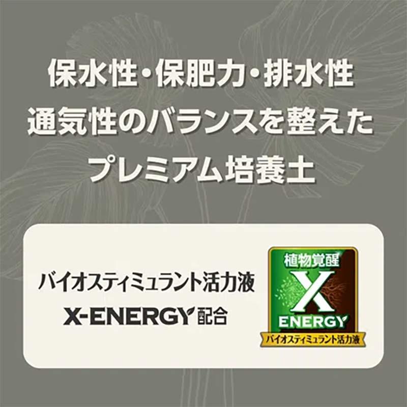 培養土 MY PLANTS 健やかに育てるソイル 観葉植物用 2L 20袋 KINCHO園芸 用土 園芸 土 ガーデニング カ園 個人宅配送不可 代引不可 |  | 01