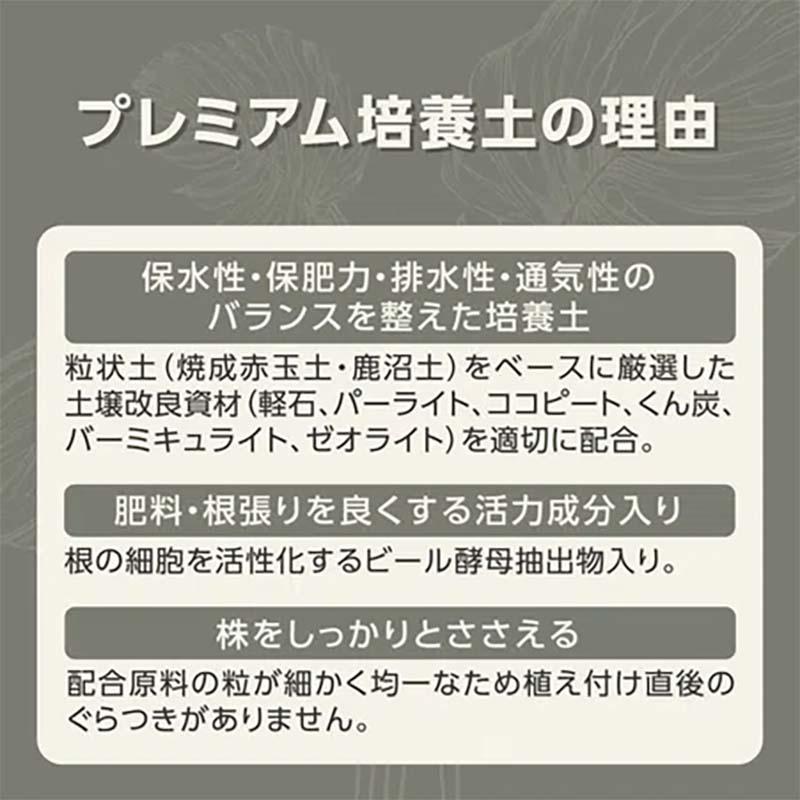 培養土 MY PLANTS 健やかに育てるソイル 観葉植物用 2L 20袋 KINCHO園芸 用土 園芸 土 ガーデニング カ園 個人宅配送不可 代引不可 |  | 02