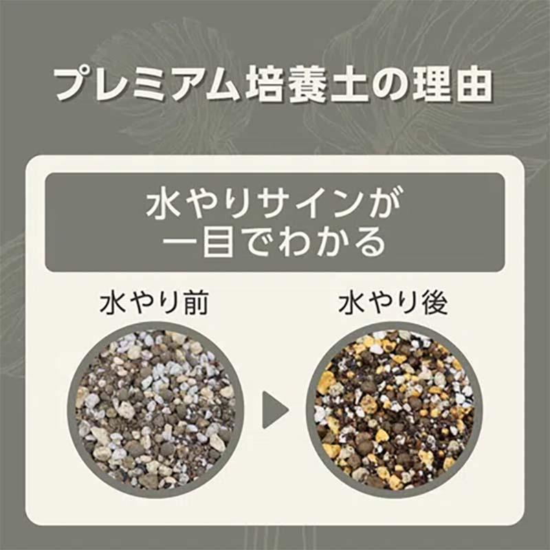 培養土 MY PLANTS 健やかに育てるソイル 観葉植物用 5L 8袋 KINCHO園芸 用土 園芸 土 ガーデニング カ園 個人宅配送不可 代引不可 |  | 03