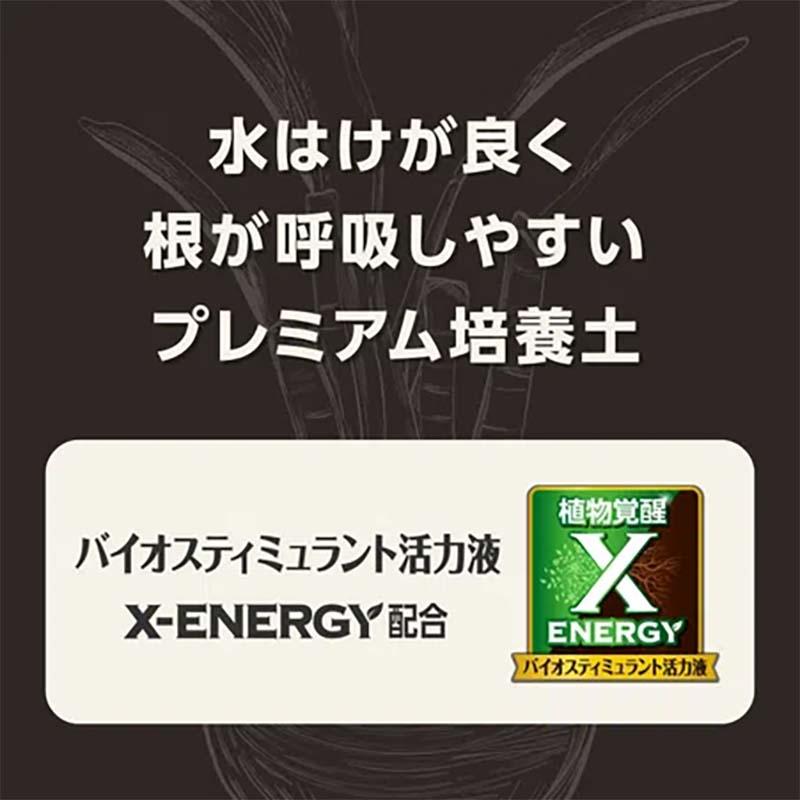 培養土 MY PLANTS 健やかに育てるソイル アガベ多肉植物塊根植物用 2L 20袋 KINCHO園芸 用土 園芸 土 ガーデニング カ園 個人宅配送不可 代引不可 |  | 01