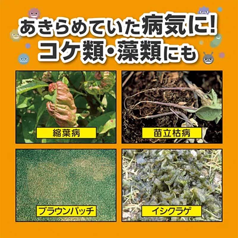 殺菌剤 サンケイオーソサイド水和剤80 2g×10袋 60セット KINCHO園芸 保護殺菌剤 消毒 農業 園芸 ガーデニング カ園 個人宅配送不可 代引不可 |  | 03