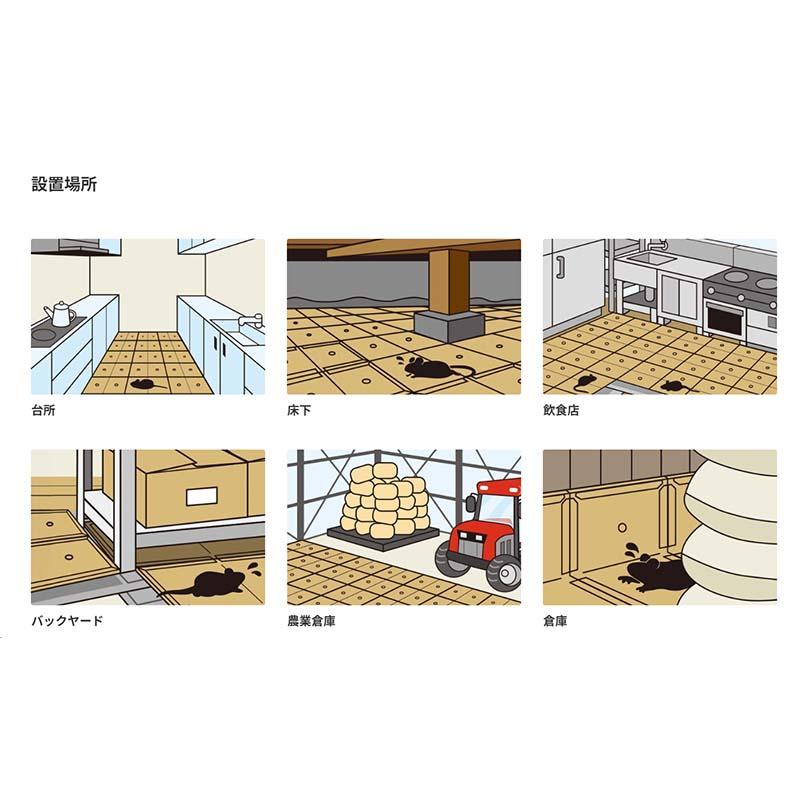 ネズミ捕りシート 10枚入 10箱 シマダ SHIMADA 害獣対策 防獣 ねずみ 捕獲 粘着シート 耐水 カ園 個人宅配送不可 代引不可 |  | 03