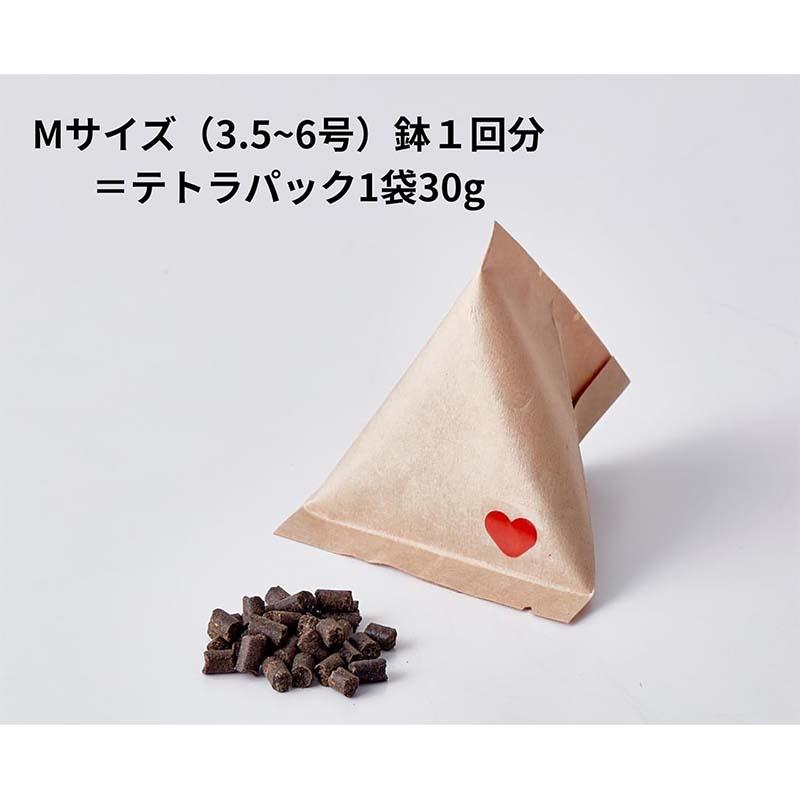 土壌改良剤 体力BASE 体力ベース テトラパック 30g 36個 T-0001 キャビノチェ 肥料 園芸 カ園 代引不可 |  | 01