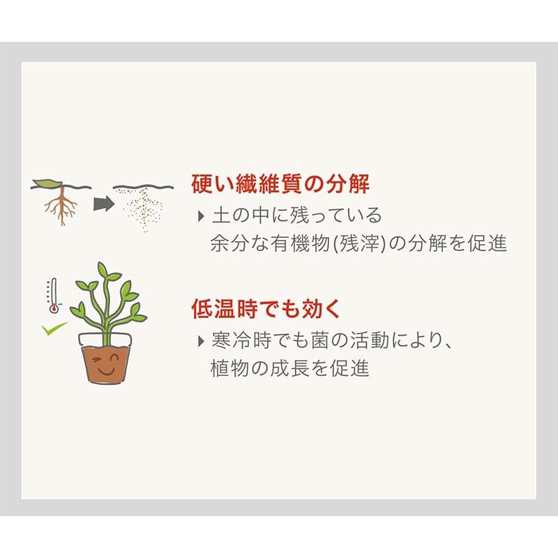 土壌改良剤 体力BASE 体力ベース テトラパック 30g 36個 T-0001 キャビノチェ 肥料 園芸 カ園 代引不可 |  | 02