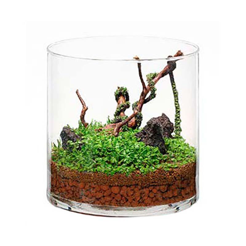 ほとりえ グリーンカーペットキット P 4個 水作 水槽 水草 アクアリウム 水草キット インテリア カ園 代引不可 |  | 01