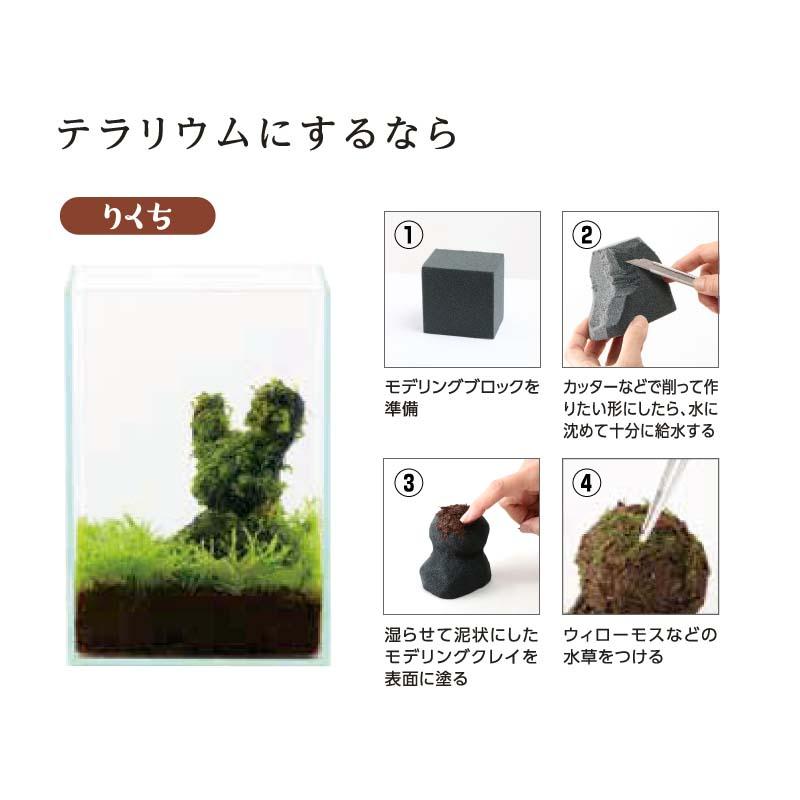 ほとりえ モデリングクレイ 陸地専用 水作 土 粘土 テラリウム アクアリウム インテリア カ園 代引不可 |  | 02