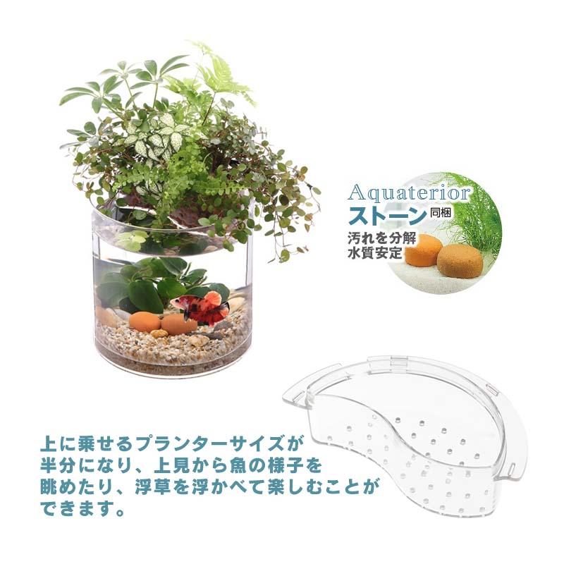 アクアテリア ベタ用 P150S 4個 水作 ベタ飼育用品 水槽 セット アクアリウム インテリア カ園 代引不可 |  | 01