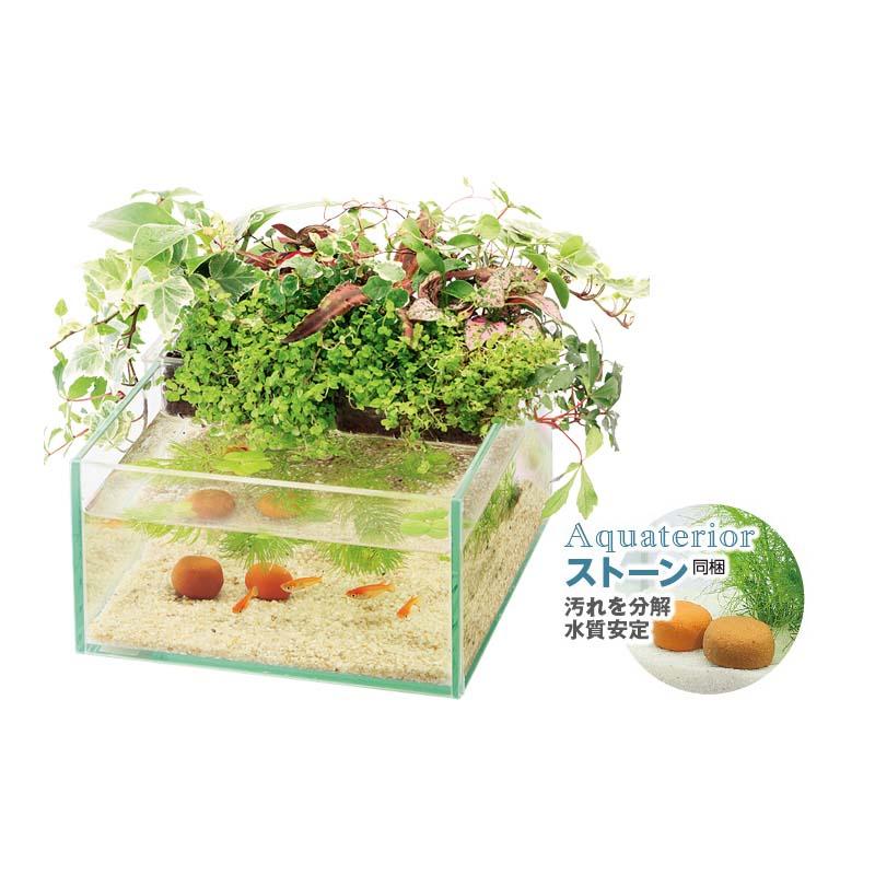 アクアテリア メダカ用 N190 4個 水作 メダカ飼育用品 水槽 セット アクアリウム インテリア カ園 代引不可 |  | 01