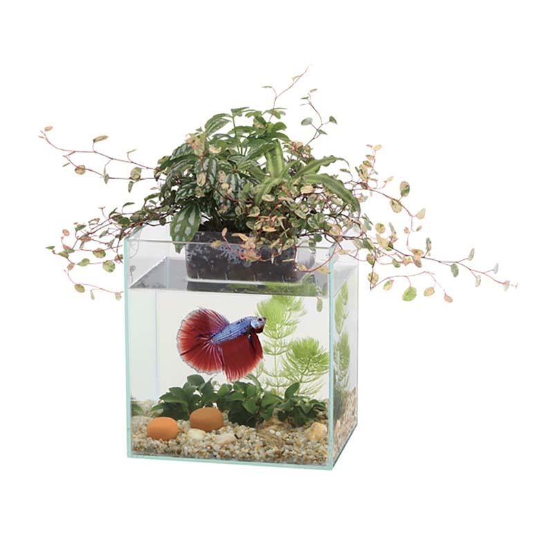 アクアテリア ベタ用 N160 4個 水作 ベタ飼育用品 水槽 セット アクアリウム インテリア カ園 代引不可