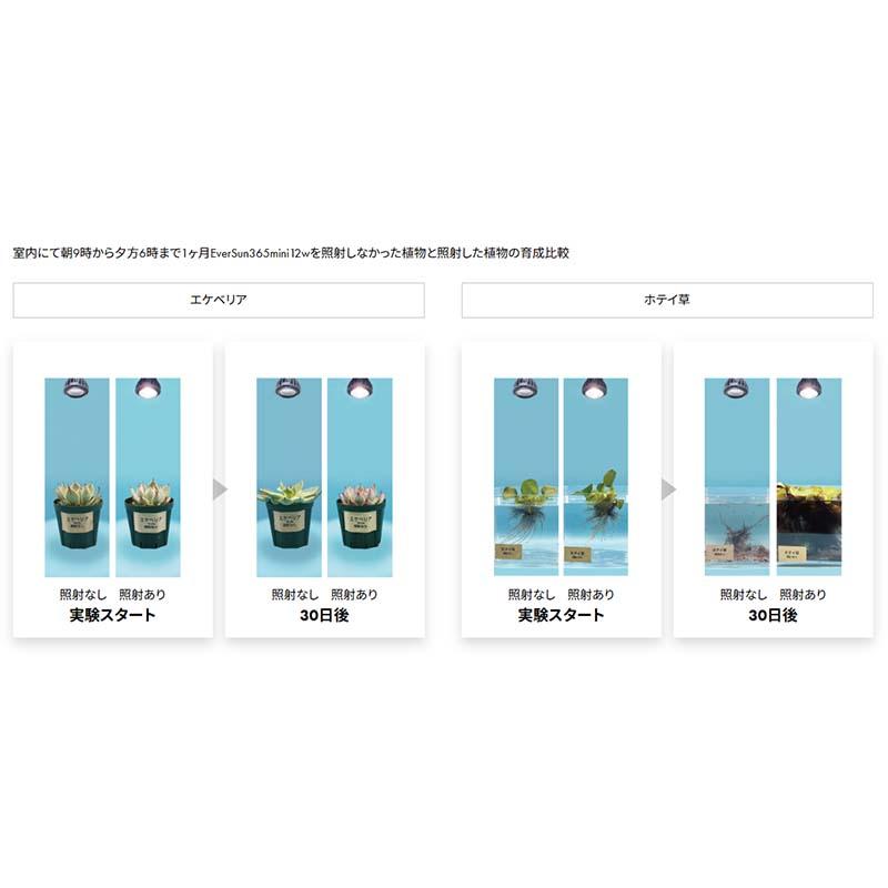 植物育成LED EverSun365 mini 12W 24個 ゼンスイ プラエリア エバーサン サンロクゴー ミニ12W LED 園芸 室内 カ園 個人宅配送不可 代引不可 |  | 02