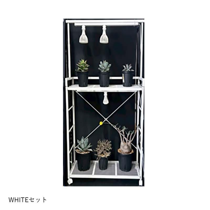 植物育成LED EverSun365 24W + プランツライトスタンドラック セット ゼンスイ プラエリア エバーサン サンロクゴー LED 園芸 カ園 個人宅配送不可 代引不可 |  | 02