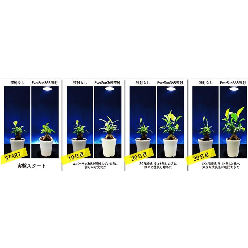 植物育成LED EverSun365 24W + プランツライトスタンドラック セット ゼンスイ プラエリア エバーサン サンロクゴー LED 園芸 カ園 個人宅配送不可 代引不可 |  | 06