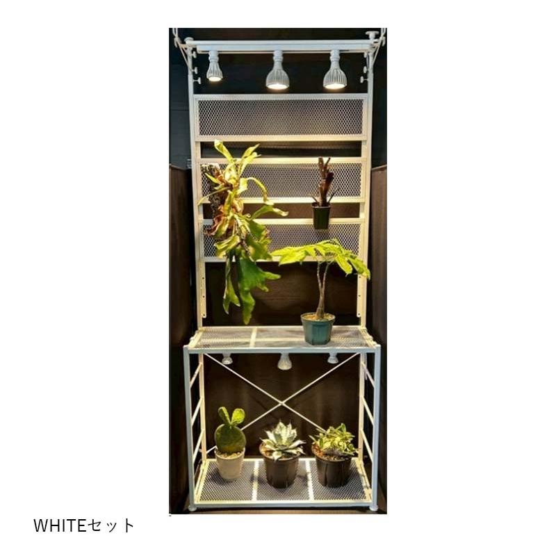 植物育成LED EverSun365 24W + プランツウォールラック セット ゼンスイ プラエリア エバーサン サンロクゴー LED 園芸 カ園 個人宅配送不可 代引不可 |  | 02
