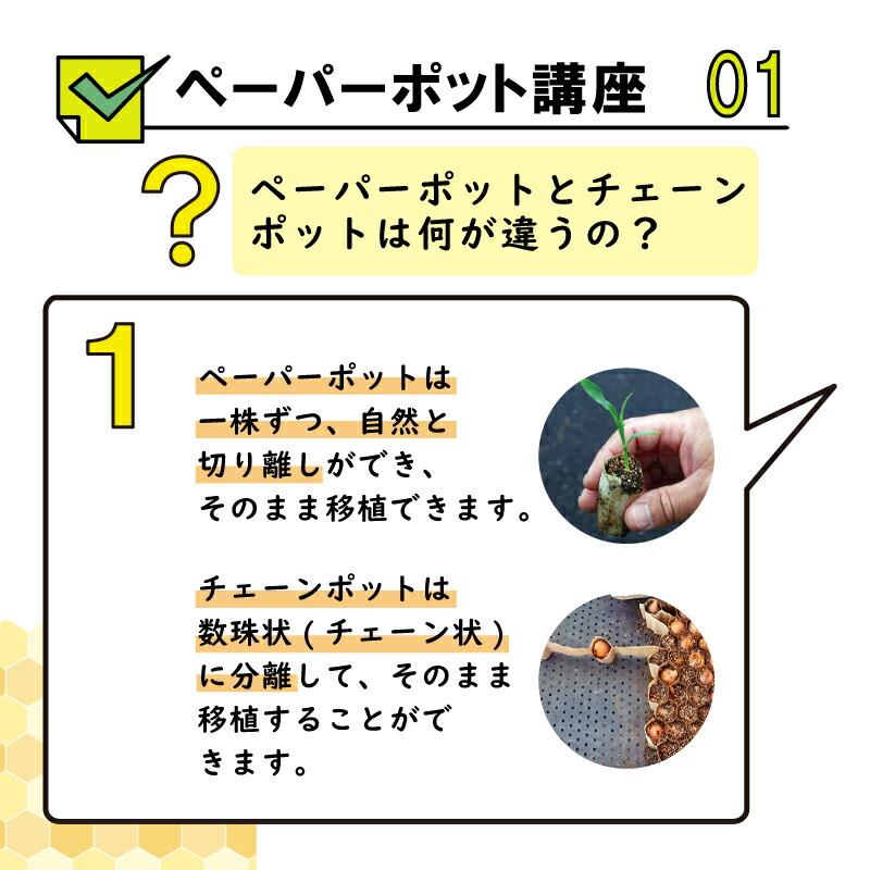 ペーパーポット 大口径 No.16 50穴 300冊 育苗箱 生分解性 紙筒 播種 種まき 育苗 苗 野菜 ニッテン タS 個人宅配送不可 代引不可 |  | 09