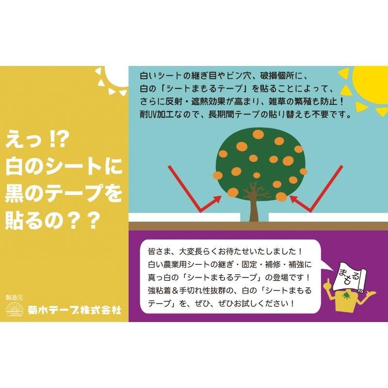 10巻 シートまもるテープ 白 80mm × 20m 耐UV加工 強粘着テープ 防草シート 反射シート 補修 継ぎ 固定 養生 補強用 マルチテープ 農業 農園 菊水テープ DZ |  | 01