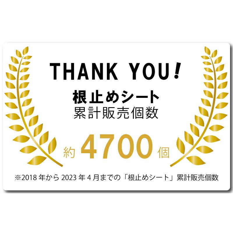 2個セット 園芸用 根止めシート 高さ15cm 長さ10m 厚さ2mm エーワン新潟 根止め 芝 侵入 防止 花壇 ガーデニング 庭造り 家庭菜園 園芸 造園 DZ |  | 01