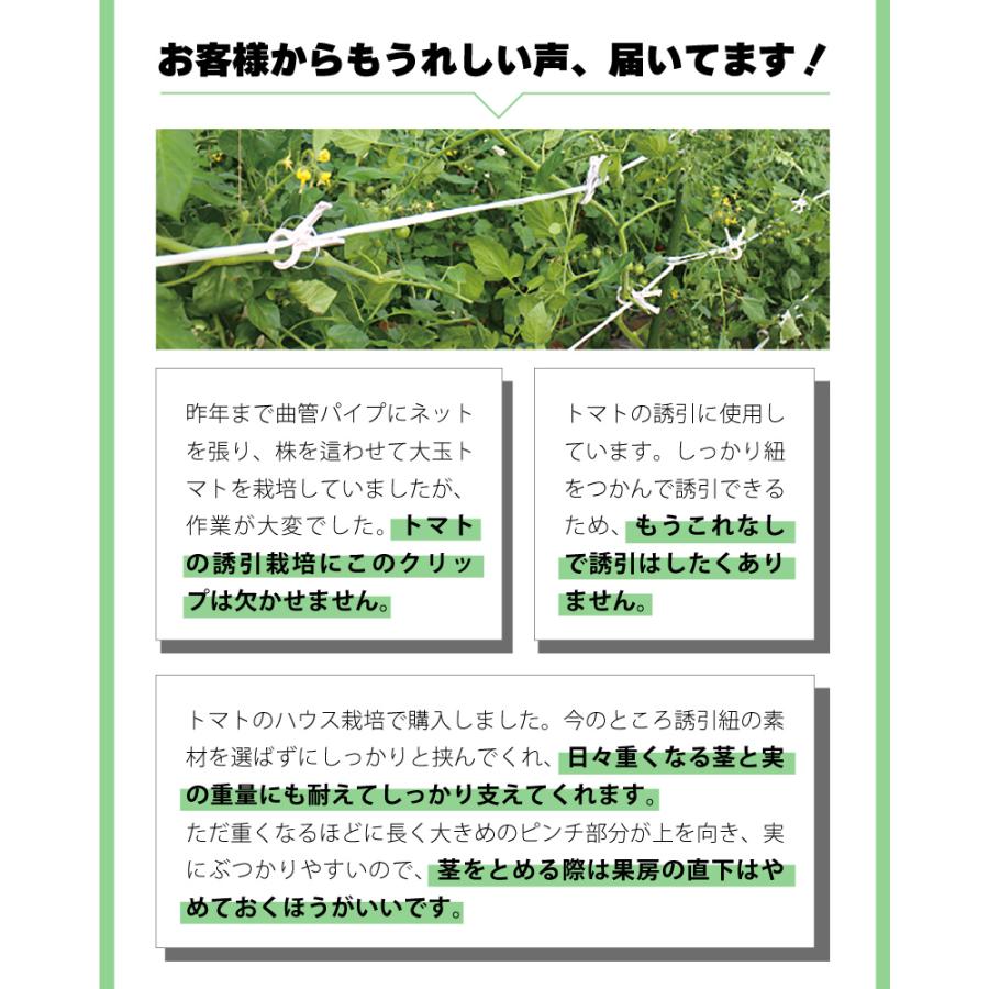 220個 2袋 紐誘引クリップ くきたっちアルファ M パープル 薄紫 AM